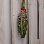 Apartamento Kos