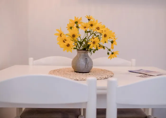 Kos * Supetarska Draga